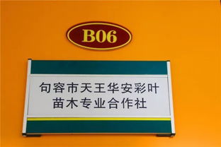 喜訊！華東森林產品電商城入選首批江蘇省鄉鎮電子商務特色產業園區